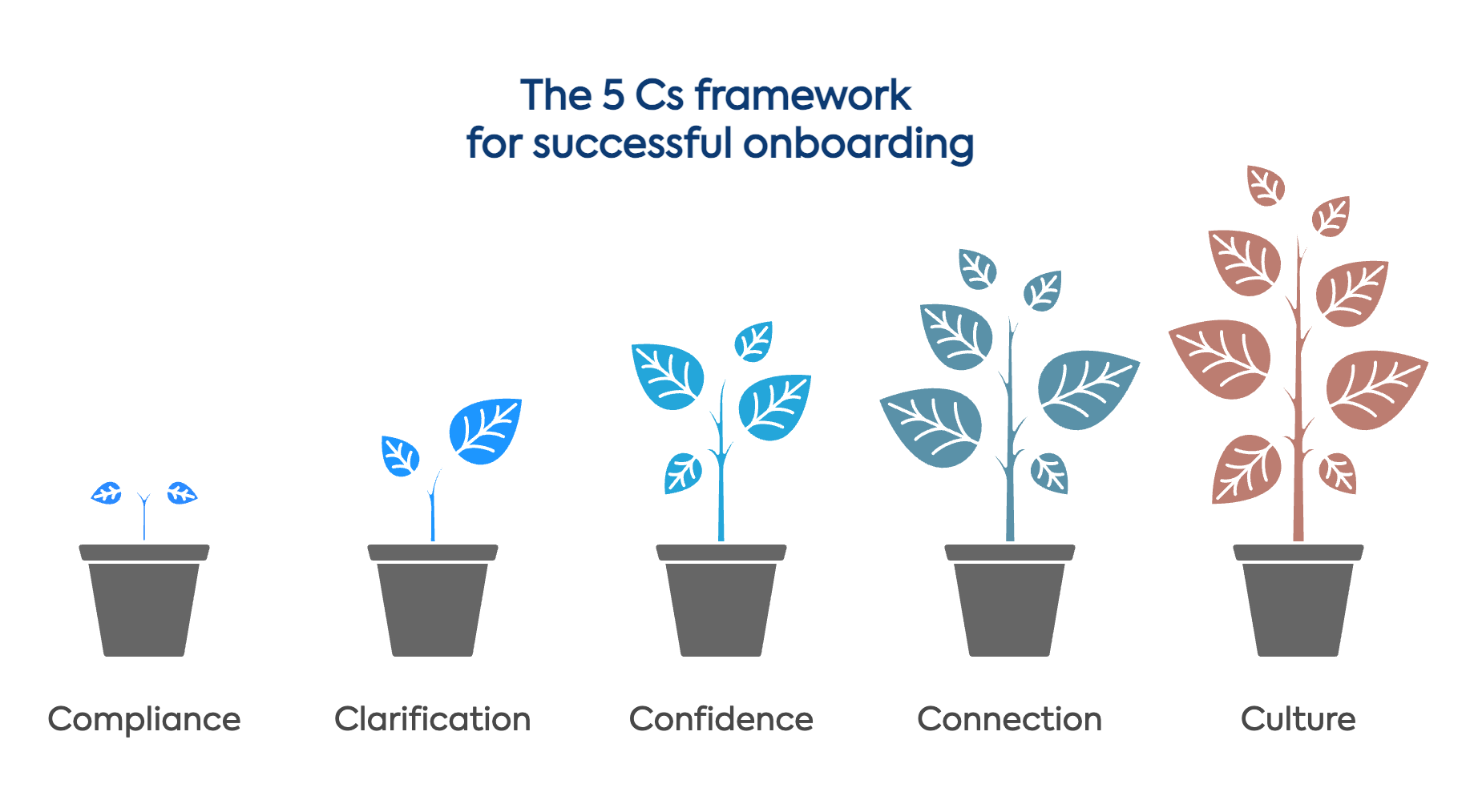 five cs
