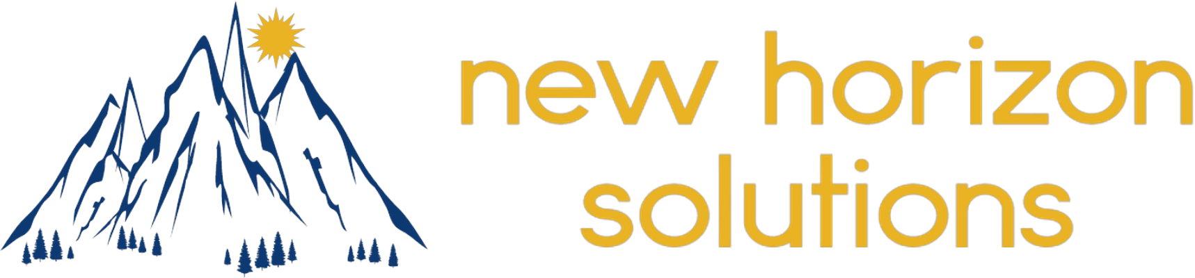 New Horizon Solutions